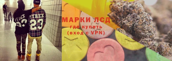 гидра Волоколамск