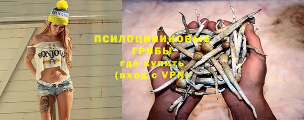 гидра Волоколамск