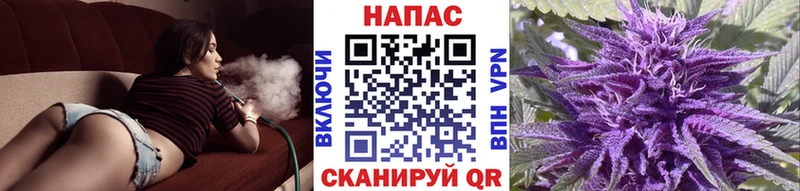 Конопля марихуана  Гусиноозёрск 